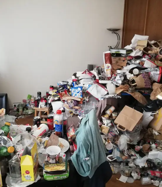 Nettoyage et désinfection de logement insalubre Diogène à Mulhouse